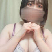 ヒメ日記 2025/06/27 11:27 投稿 ハルジオン 飾窓