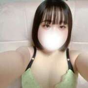 ヒメ日記 2025/07/04 08:57 投稿 ハルジオン 飾窓