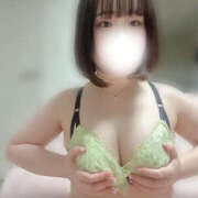 ヒメ日記 2025/07/11 17:35 投稿 ハルジオン 飾窓