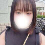 ヒメ日記 2025/07/12 17:40 投稿 ハルジオン 飾窓