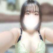 ヒメ日記 2025/07/18 10:58 投稿 ハルジオン 飾窓