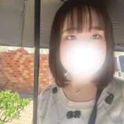 ヒメ日記 2025/07/23 22:11 投稿 ハルジオン 飾窓