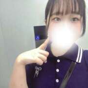 ヒメ日記 2025/08/10 20:32 投稿 ハルジオン 飾窓