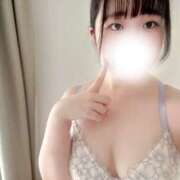 ヒメ日記 2025/08/11 08:59 投稿 ハルジオン 飾窓