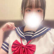 ヒメ日記 2025/08/20 10:02 投稿 ハルジオン 飾窓