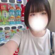 ヒメ日記 2025/08/22 12:00 投稿 ハルジオン 飾窓