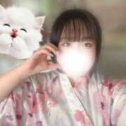 ヒメ日記 2025/08/27 19:38 投稿 ハルジオン 飾窓