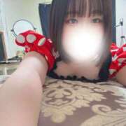 ヒメ日記 2025/08/28 21:18 投稿 ハルジオン 飾窓