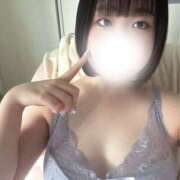 ヒメ日記 2025/08/31 19:08 投稿 ハルジオン 飾窓