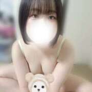 ヒメ日記 2025/09/05 16:00 投稿 ハルジオン 飾窓