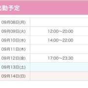 ヒメ日記 2025/09/08 20:44 投稿 ハルジオン 飾窓