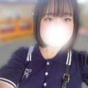 ヒメ日記 2025/09/15 10:02 投稿 ハルジオン 飾窓