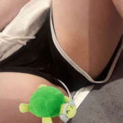 ヒメ日記 2025/09/16 21:45 投稿 ハルジオン 飾窓