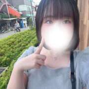 ヒメ日記 2025/09/21 12:12 投稿 ハルジオン 飾窓