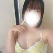 ヒメ日記 2025/09/28 14:21 投稿 ハルジオン 飾窓