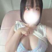 ヒメ日記 2025/09/29 09:44 投稿 ハルジオン 飾窓