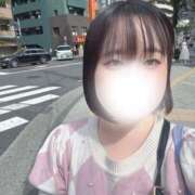 ヒメ日記 2025/09/29 18:22 投稿 ハルジオン 飾窓