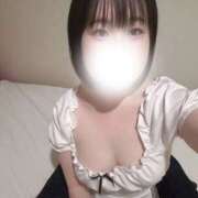 ヒメ日記 2025/10/08 10:00 投稿 ハルジオン 飾窓