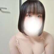 ヒメ日記 2025/10/08 23:06 投稿 ハルジオン 飾窓