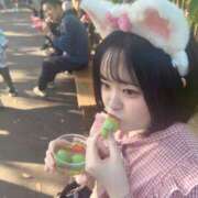 ヒメ日記 2025/10/09 15:52 投稿 ハルジオン 飾窓