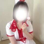 ヒメ日記 2025/10/10 10:46 投稿 ハルジオン 飾窓