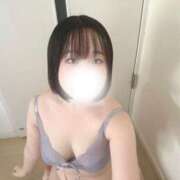 ヒメ日記 2025/10/13 14:18 投稿 ハルジオン 飾窓