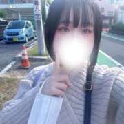 ヒメ日記 2025/10/24 13:48 投稿 ハルジオン 飾窓