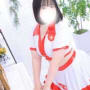 ヒメ日記 2025/10/30 13:47 投稿 ハルジオン 飾窓