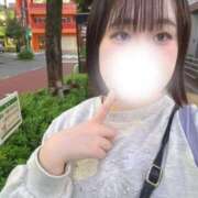 ヒメ日記 2025/11/01 23:40 投稿 ハルジオン 飾窓