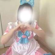 ヒメ日記 2025/11/03 09:01 投稿 ハルジオン 飾窓