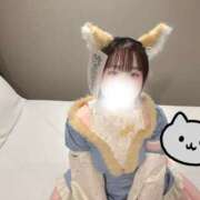 ヒメ日記 2025/11/06 10:57 投稿 ハルジオン 飾窓