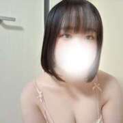 ヒメ日記 2025/11/11 09:02 投稿 ハルジオン 飾窓