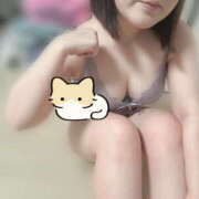 ヒメ日記 2025/11/16 11:34 投稿 ハルジオン 飾窓