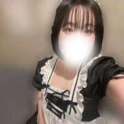 ヒメ日記 2025/11/26 08:56 投稿 ハルジオン 飾窓