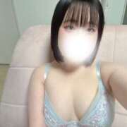 ヒメ日記 2025/11/29 09:15 投稿 ハルジオン 飾窓