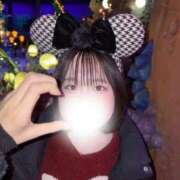 ヒメ日記 2025/12/03 00:14 投稿 ハルジオン 飾窓