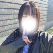 ハルジオン 退勤 飾窓