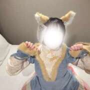 ヒメ日記 2025/12/07 22:56 投稿 ハルジオン 飾窓