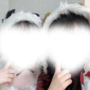 ヒメ日記 2025/12/23 21:24 投稿 ハルジオン 飾窓