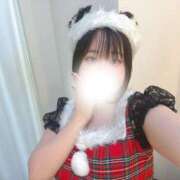 ハルジオン 素敵なクリスマス🎄 飾窓