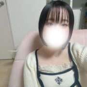 ヒメ日記 2026/01/01 17:38 投稿 ハルジオン 飾窓