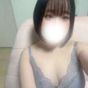 ヒメ日記 2026/01/08 12:31 投稿 ハルジオン 飾窓