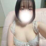 ハルジオン 14時からいます！ 飾窓