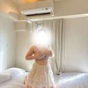 ハルジオン 退勤しましたよ〜 飾窓