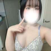 ハルジオン 今日はいっぱい寝るぞ🐑💤 飾窓