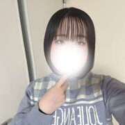 ヒメ日記 2026/01/24 08:55 投稿 ハルジオン 飾窓