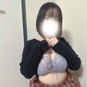 ヒメ日記 2026/02/06 23:34 投稿 ハルジオン 飾窓