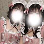 ヒメ日記 2026/02/10 10:54 投稿 ハルジオン 飾窓