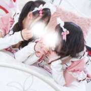 ヒメ日記 2026/02/14 09:04 投稿 ハルジオン 飾窓