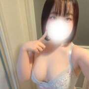 ヒメ日記 2026/03/28 13:33 投稿 ハルジオン 飾窓